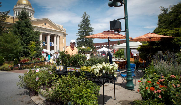 Garden Jubilee Hendersonville