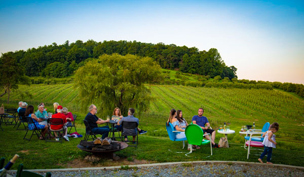 Saint Paul Mountain Vineyards