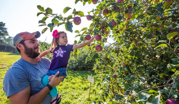 Sky Top Orchards Asheville