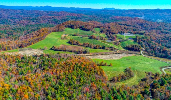 Jeter Mountain Farm Apple Orchards